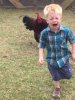 rooster-chasing-boy.jpg